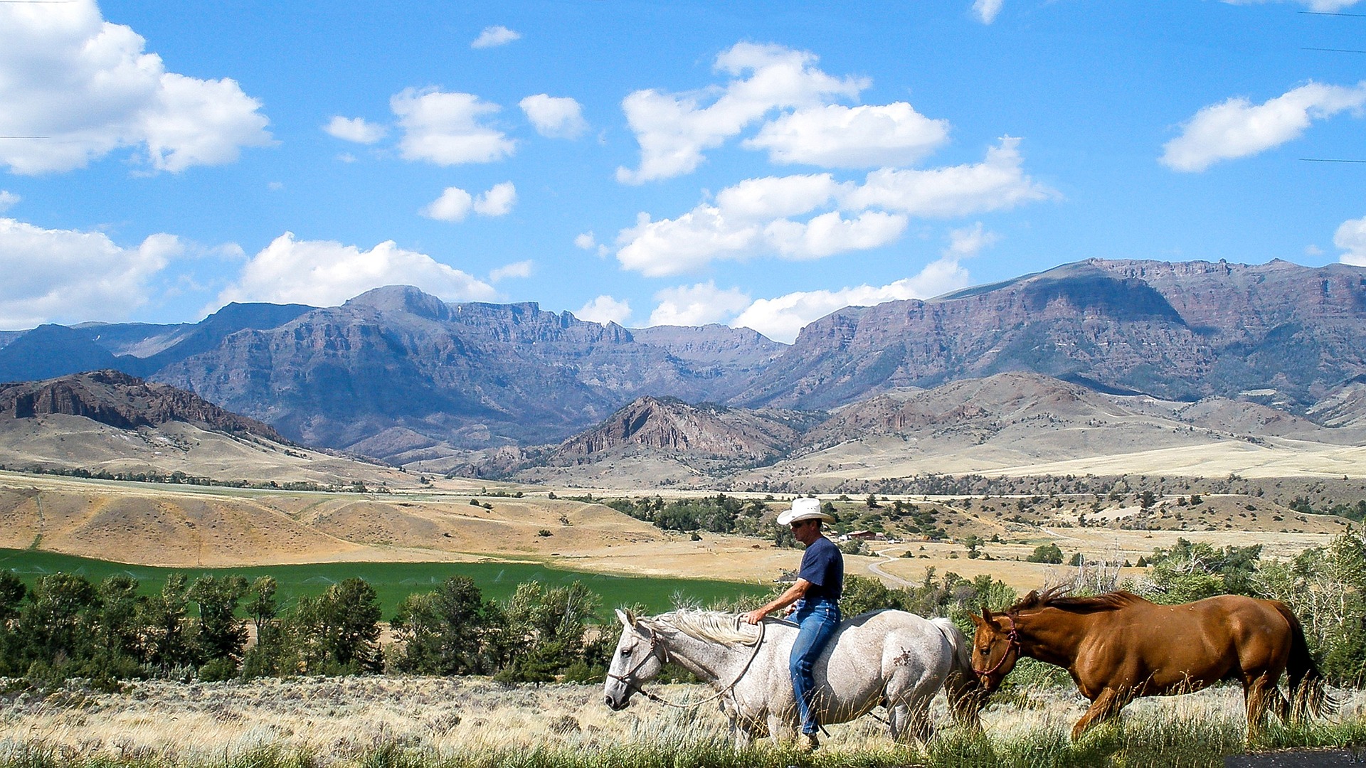 Paisaje de montaña y caballos